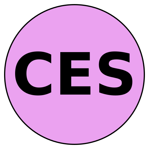 Crafted Expertise Solutions